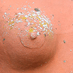 Foto Detail Skulptur